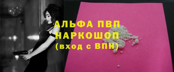 шишки Козельск