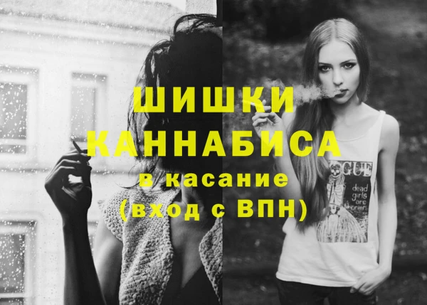 мдпв Корсаков