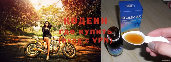 прущие крисы Кодинск