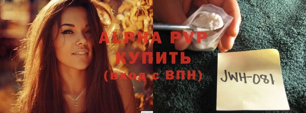 шишки Козельск
