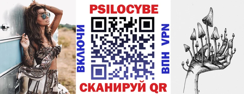 Галлюциногенные грибы Psilocybine cubensis  Находка 